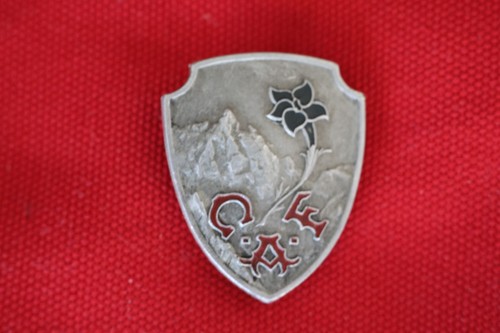 Anciens insigne blason club - anciens,