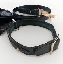 Ensemble collier pour chien