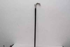 Bâton de marche pour cheval -