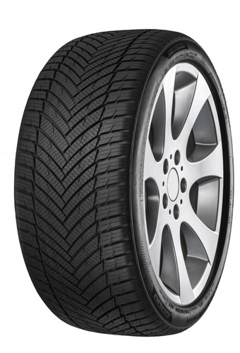 Minerva 275 r19 100y - r19,