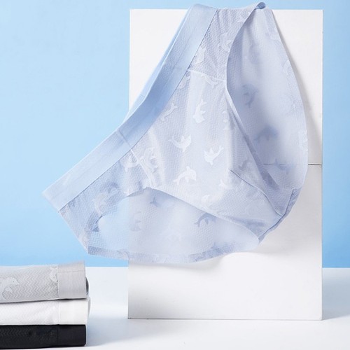 Slip homme soie glacée - en,