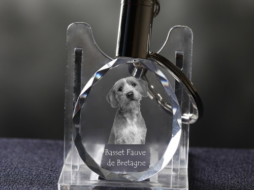 Basset fauve bretagne - basset,
