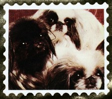 LHASSA -APSO SHIN-TZU MONACO FRANCE   ENVELOPPE PREMIER JOUR 1020