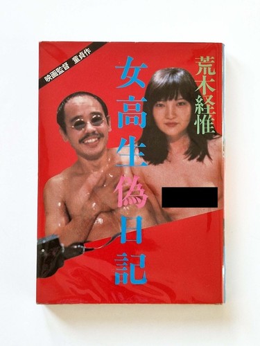 Fake diary high school - fake,