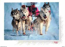 Animaux - Chiens - Husky - Attelage de Chiens de Traineau - Hiver - Neige - CPM