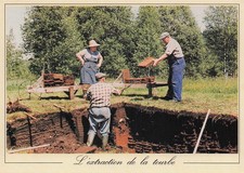 39 BOIS D AMONT EXTRACTION DE