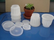 Tupperware JELL-ETTE Set (5)