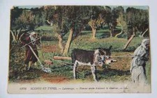 Cpa carte postale ancienne - cpa,