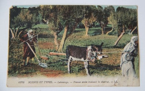 Cpa carte postale - cpa, ancienne