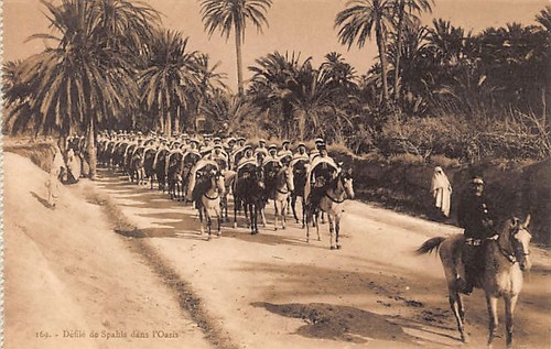 Tunisie défilé de spahis - défilé,