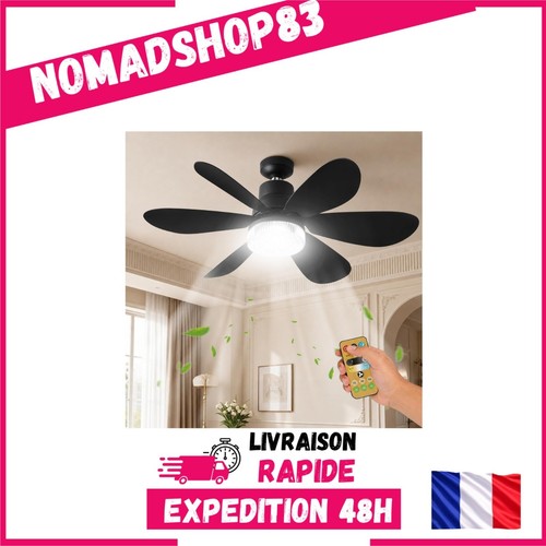 Ventilateur plafond avec - ventilateur, de