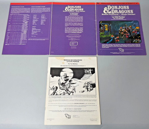 Dungeons dragons the lost - the,