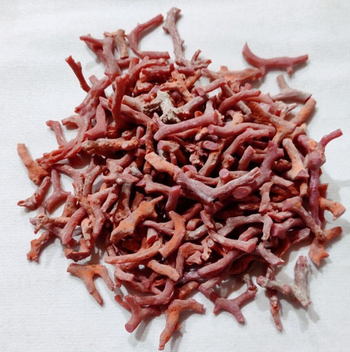 Branche corail rouge - de,