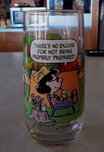 Vintage camp snoopy collection - snoopy,
