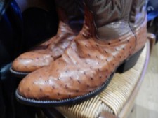 santiags taille 43 en autruche, marque NOCONA BOOTS.