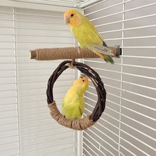 Balançoire en bois pour