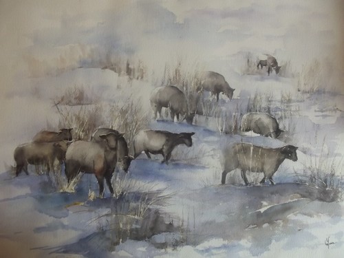 Aquarelle originale signée - , "