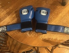 Cleto Reyes Blue Sparring