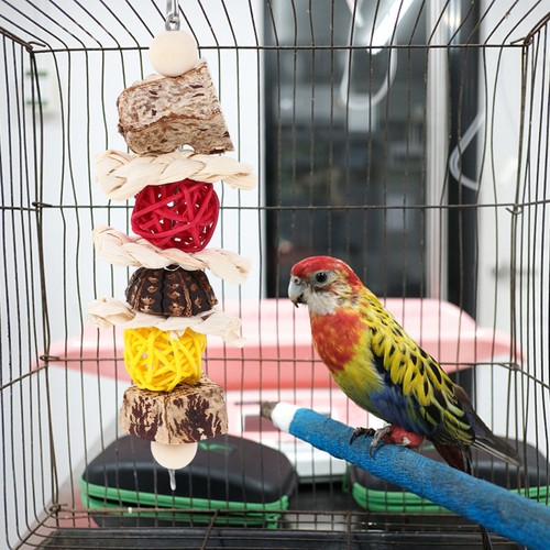 Jouet perroquet jouets pour - jouet,