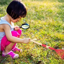  Râteau de jardin râteau à