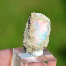 Opale brute - 16 carats -
