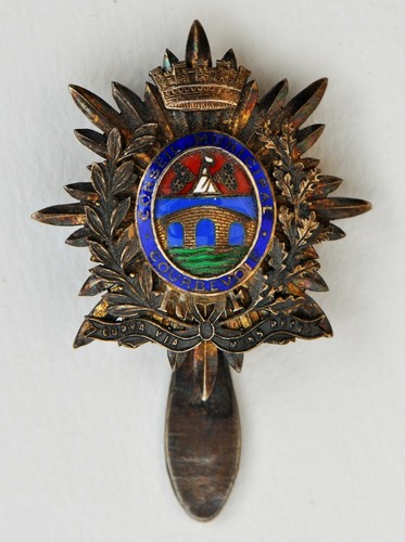 Insigne fonction conseil - insigne,