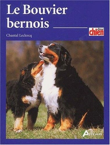 Bouvier bernois leclercq - bernois,