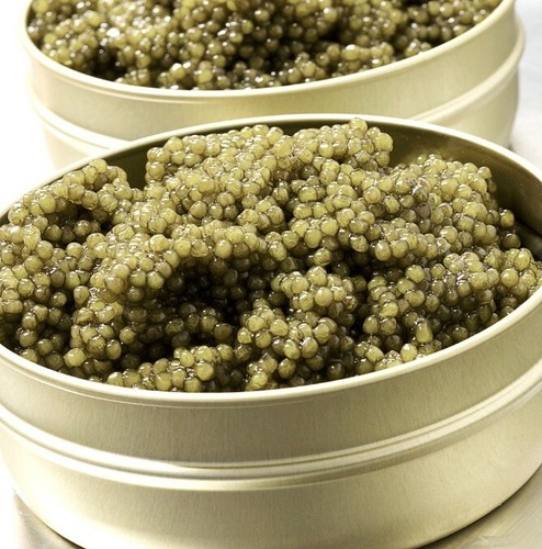 Caviar top selection hyb - caviar,
