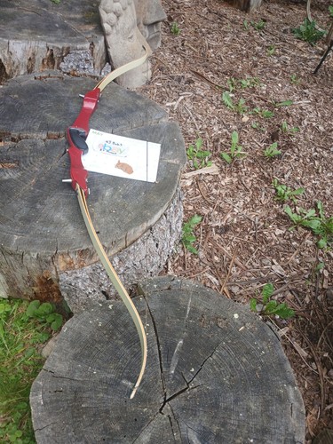 Vintage hoyt archery - vintage, pro
