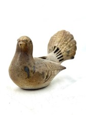 Pigeon paon pique fleur en