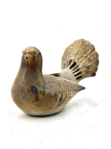 Pigeon paon pique fleur - , en