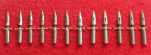 Plumes sergent major - , major»