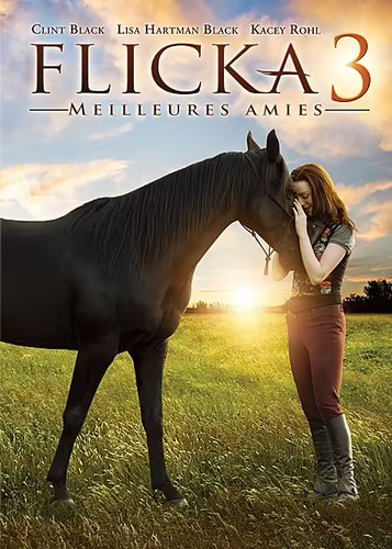 Flicka dvd neuf - 3, cello
