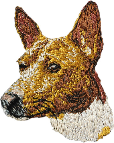 Basenji chien du - basenji,, basenji,