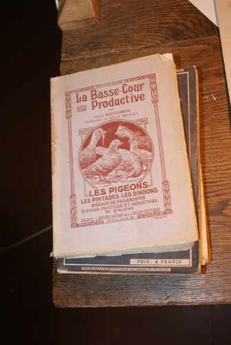 Basse cour productive - basse-cour,