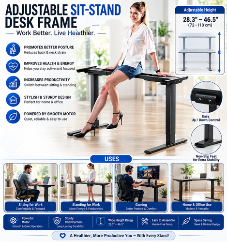 Dual Motor Electric Standing