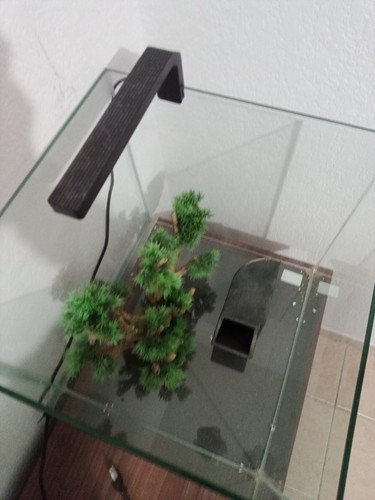 Aquarium complet litres - aquarium, 54