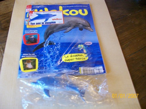 Wakou 268 ton - , ami
