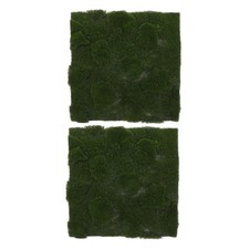  2 Pcs Fausse Mousse Tapis