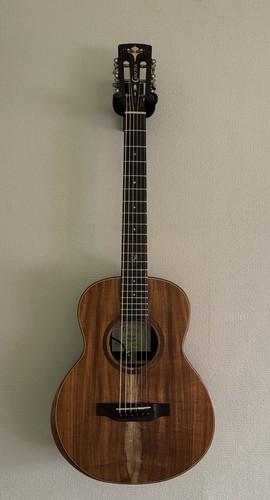 Guitare électroacoustique