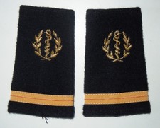 PAIRE DE FOURREAUX D'EPAULES -