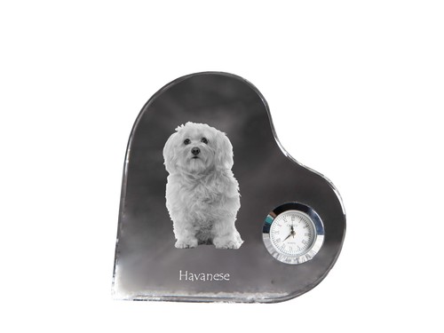 Bichon havanais horloge - , en