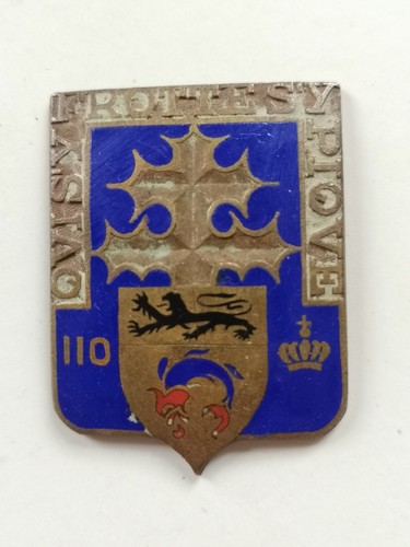Insigne 110 ri - insigne,