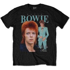 David Bowie Life On Mars