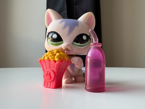 Petshop chartreux 1931 - petshop,