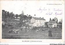 AIXP11-REGIONS-1034 - en limousin - la gardeuse de vaches