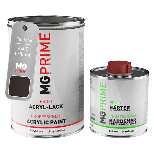 Pantone 440c grey brillant - 440c,