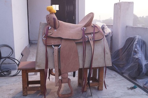 Western saddle horse - horse, ranch