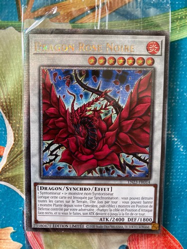 Dragon rose noire - ,