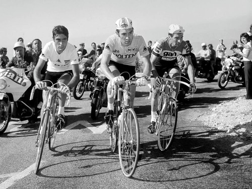 Photo luis ocaña eddy - luis, merckx